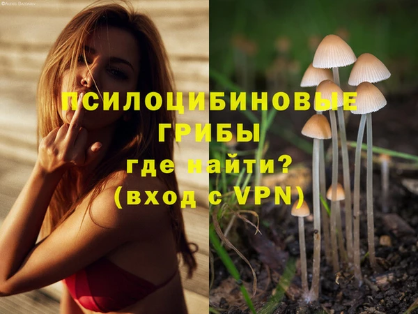 ALPHA PVP Алзамай