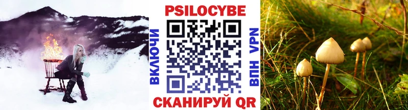 купить наркотики сайты Курск Галлюциногенные грибы мухоморы